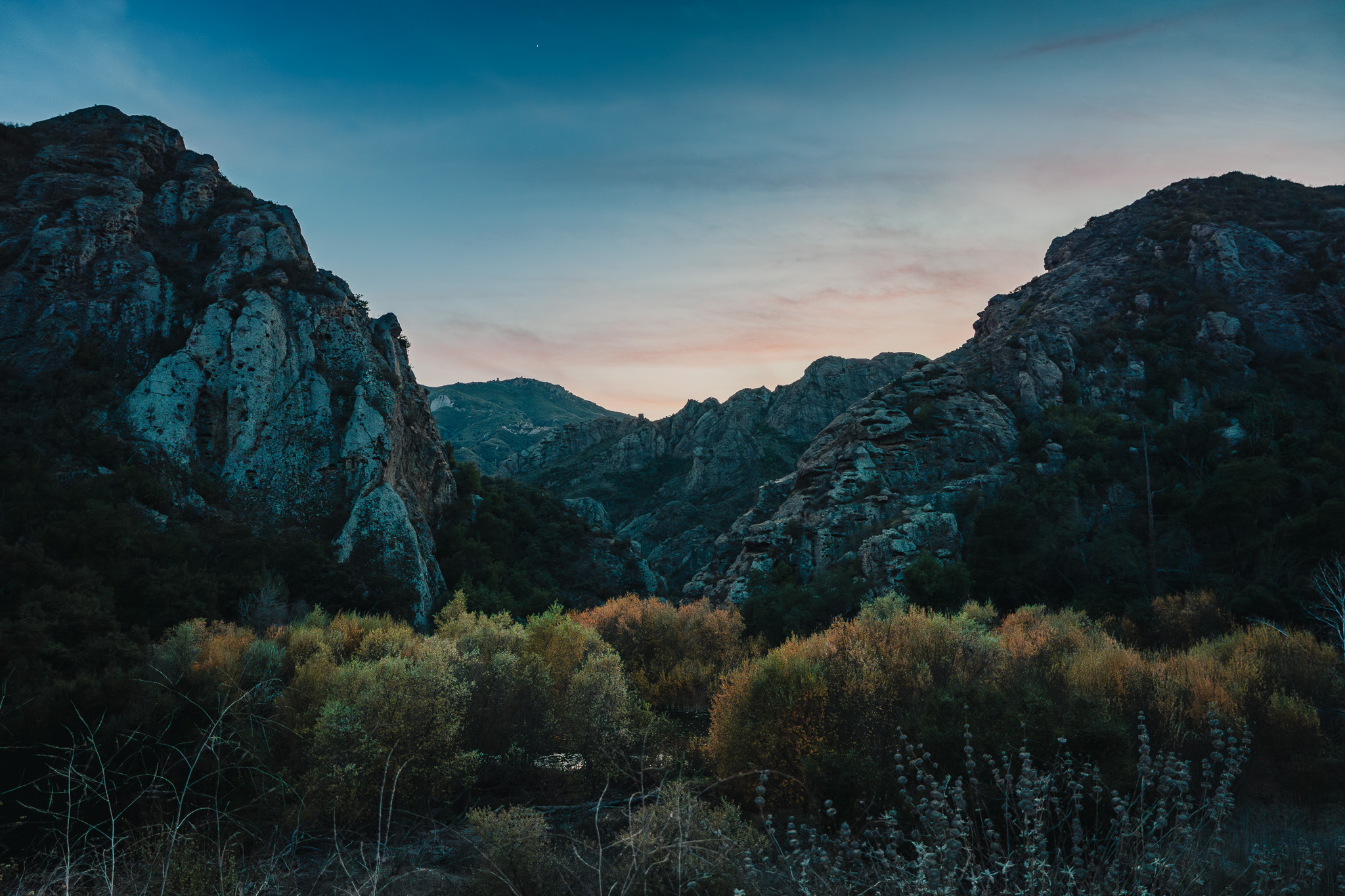 DSC05031-Enhanced-NR